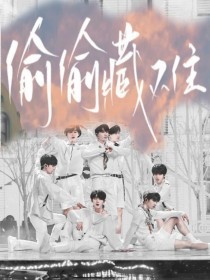 红桃传媒网页版